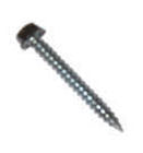 EVCO Mobile Home 1-1/4" Black Hex Head Screw (500 Pack)